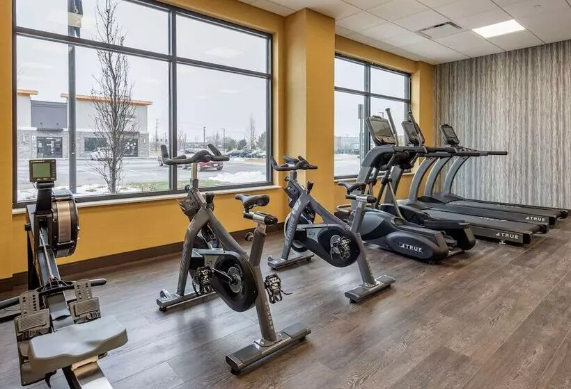 Cambria Hotel Detroit Shelby Township