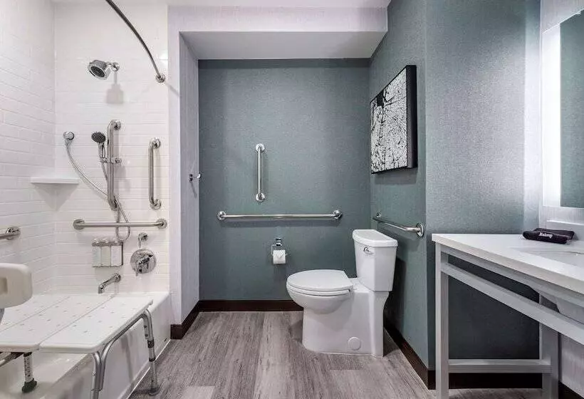 Cambria Hotel Detroit Shelby Township