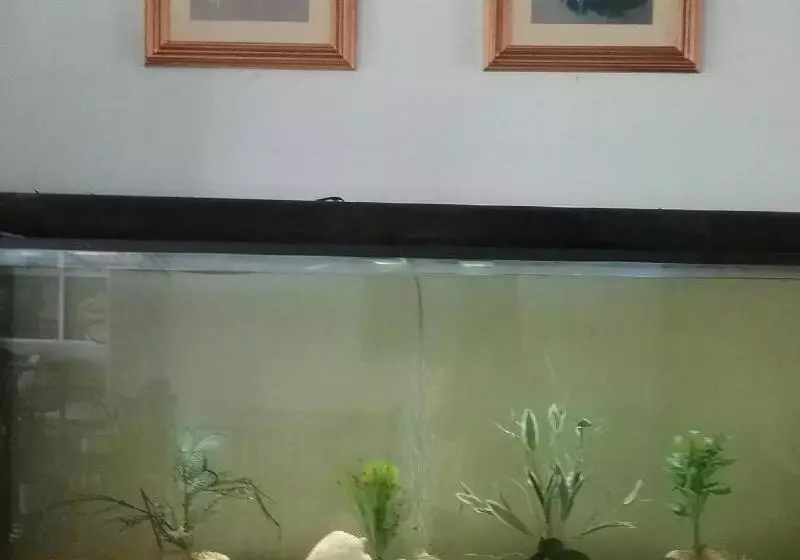هتل Krabi River