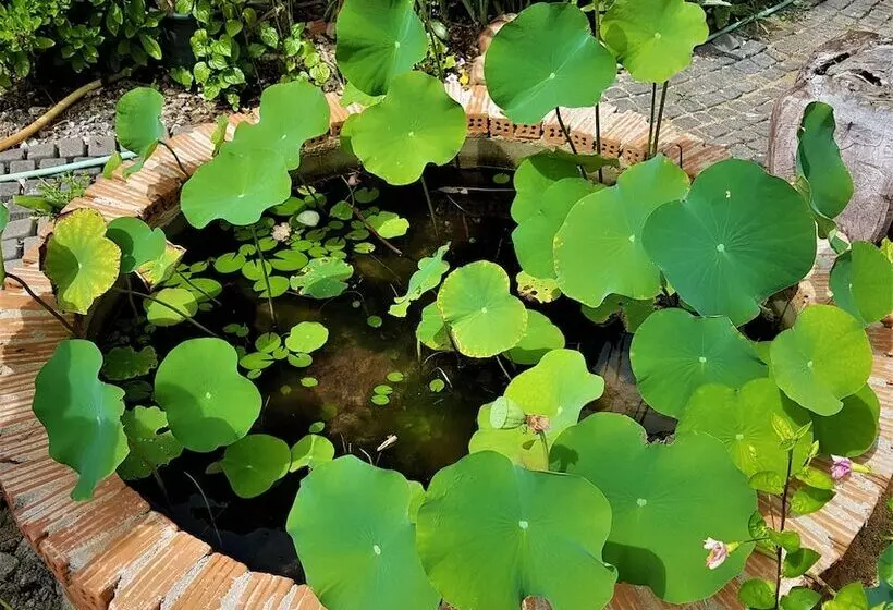 Hotelli Sea Smile Resort