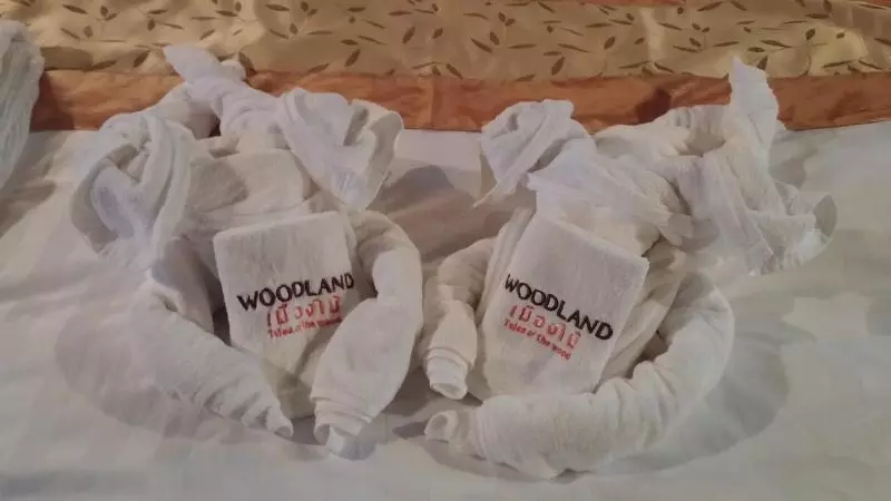 هتل Woodland Museum & Resort