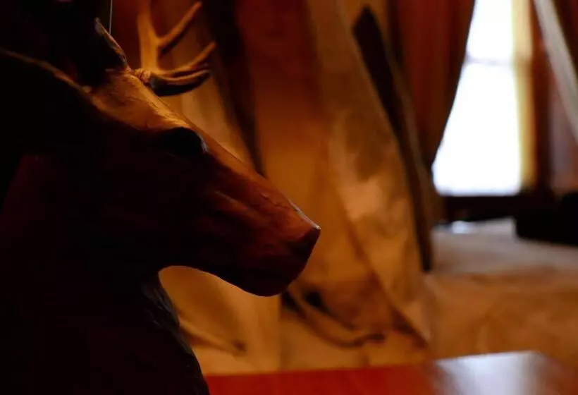 Aamiaismajoitus (B&B) Gowanlea Heights