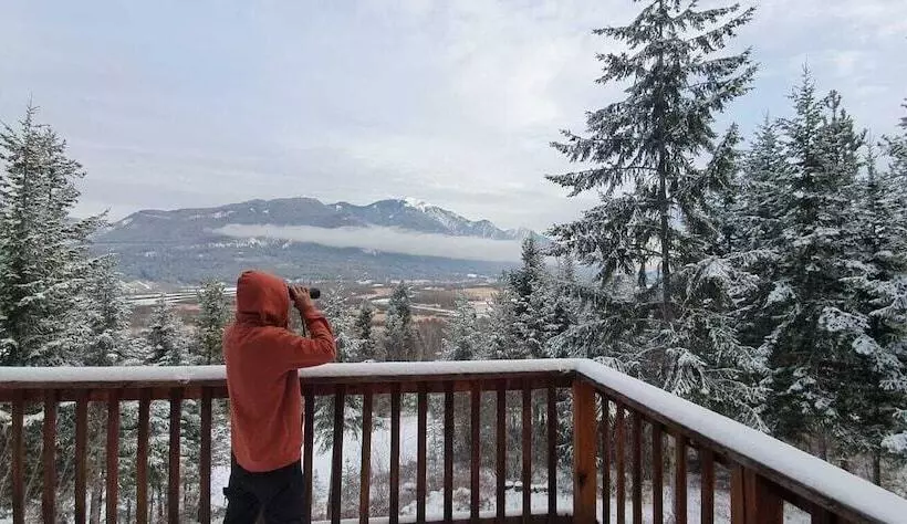 فندق Alpine Meadows Lodge