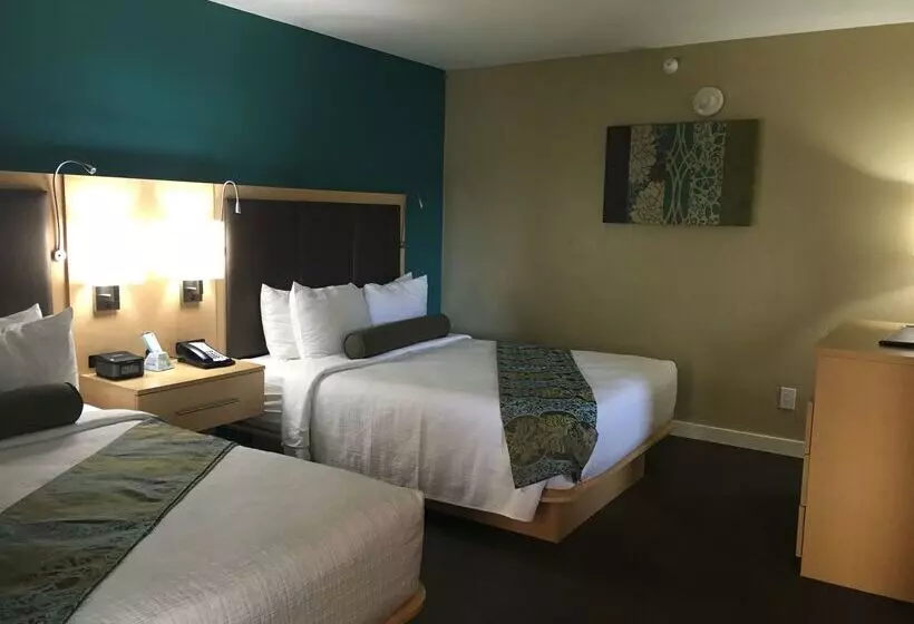 فندق Best Western Plus South Coast Inn
