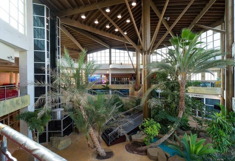 Medplaya Hotel Flamingo Oasis