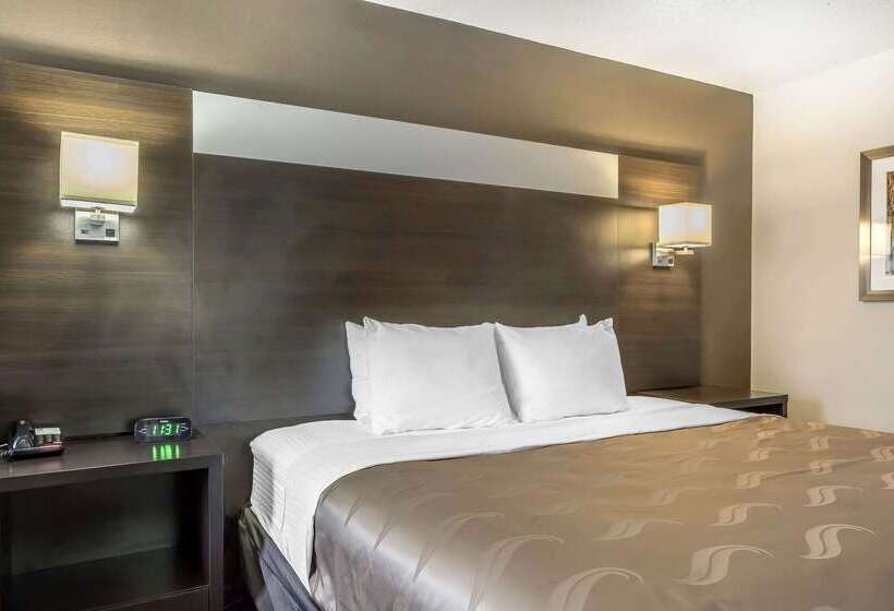 酒店 Quality Inn And Suites