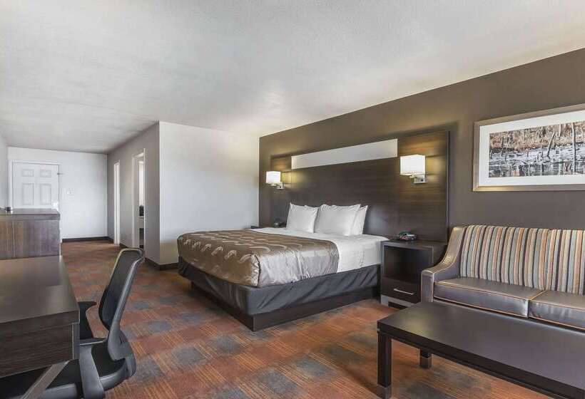 酒店 Quality Inn And Suites