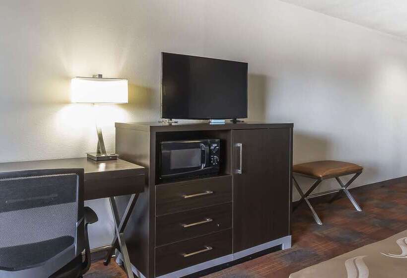 酒店 Quality Inn And Suites