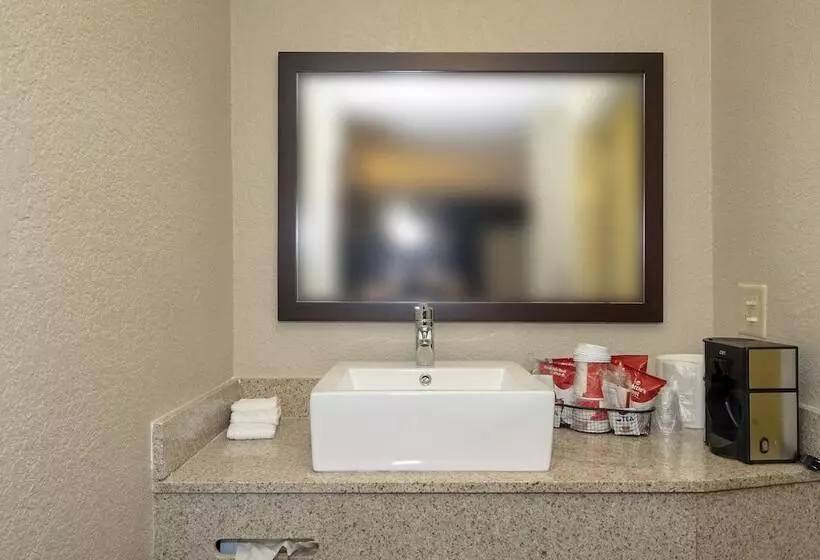 ホテル Red Roof Inn Plus+ St. Augustine