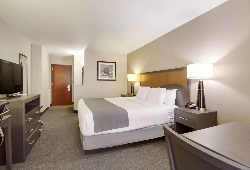 Surestay Plus Hotel By Best Western Houston Medical Center