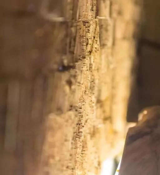 تختخواب و صبحانه Feel At Home Guest House