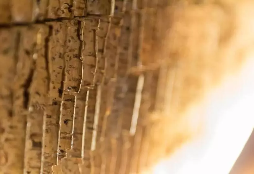 تختخواب و صبحانه Feel At Home Guest House