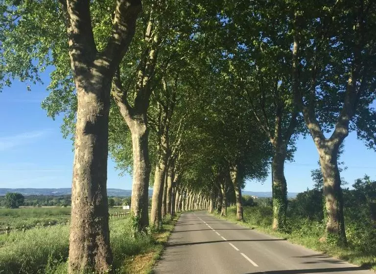 B&b Coup De Coeur