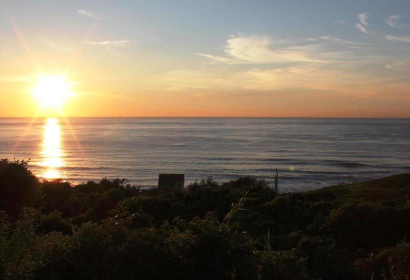 مبيت وإفطار Aliwal Dive Centre & Lodge