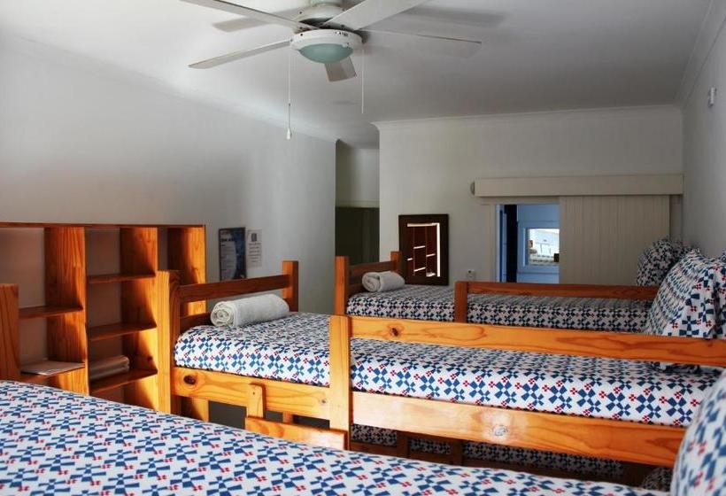 ベッドアンドブレックファースト Aliwal Dive Centre & Lodge