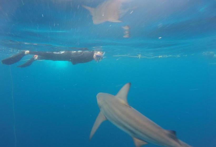 مبيت وإفطار Aliwal Dive Centre & Lodge