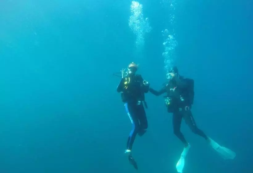 ベッドアンドブレックファースト Aliwal Dive Centre & Lodge