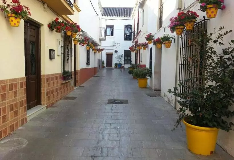 تختخواب و صبحانه Gcprestige