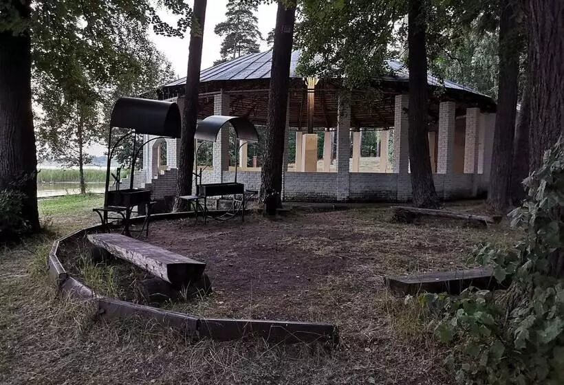 Hotelli Silent Forest   Campsite