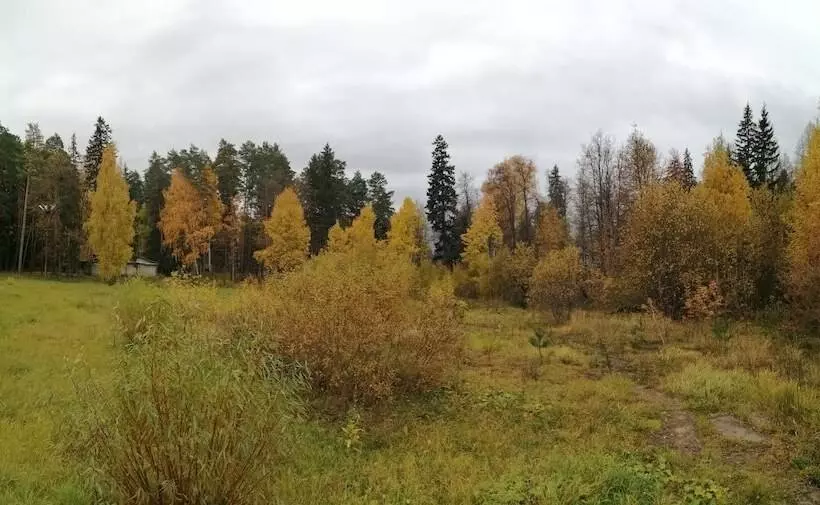 Hotelli Silent Forest   Campsite