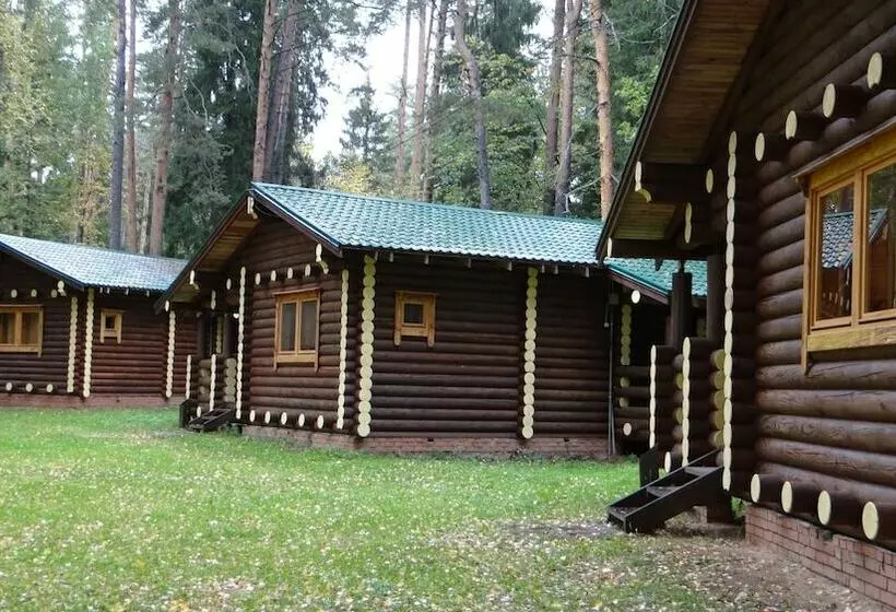 Hotelli Silent Forest   Campsite