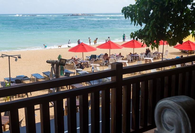 تختخواب و صبحانه Lucky Tuna