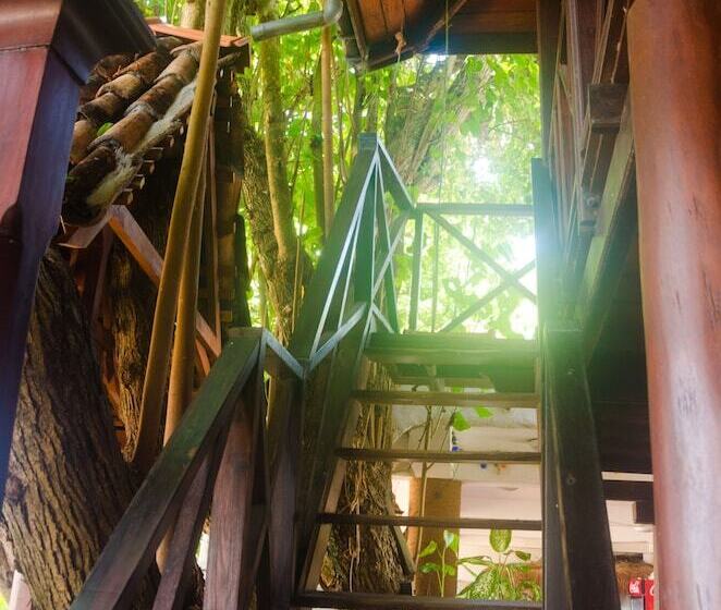 تختخواب و صبحانه Lucky Tuna