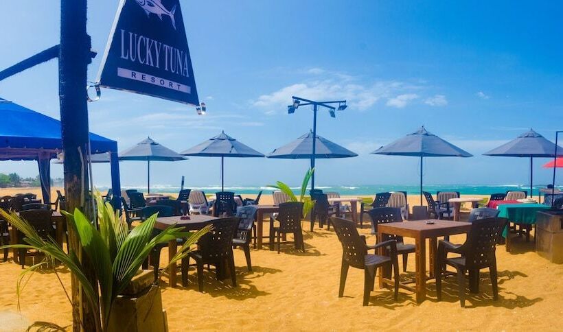 تختخواب و صبحانه Lucky Tuna