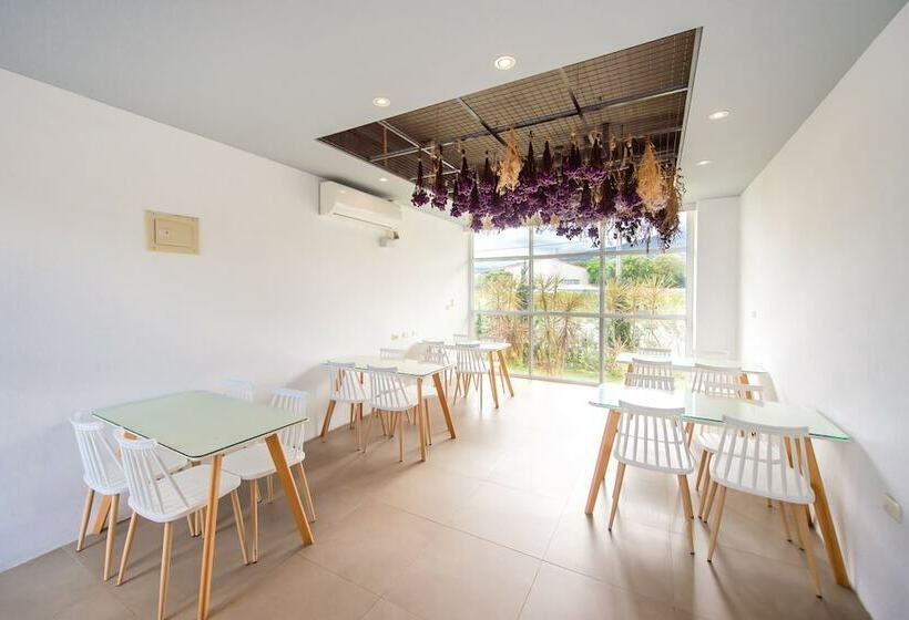 پانسیون Dream Valley