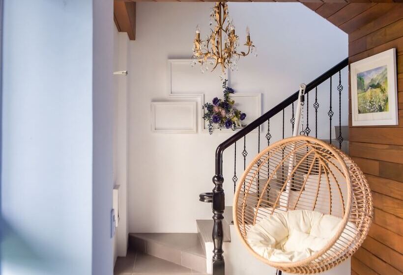 پانسیون Dream Valley