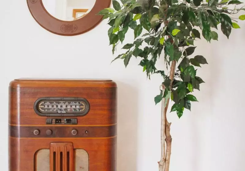 The Respite   Bed And Breakfast