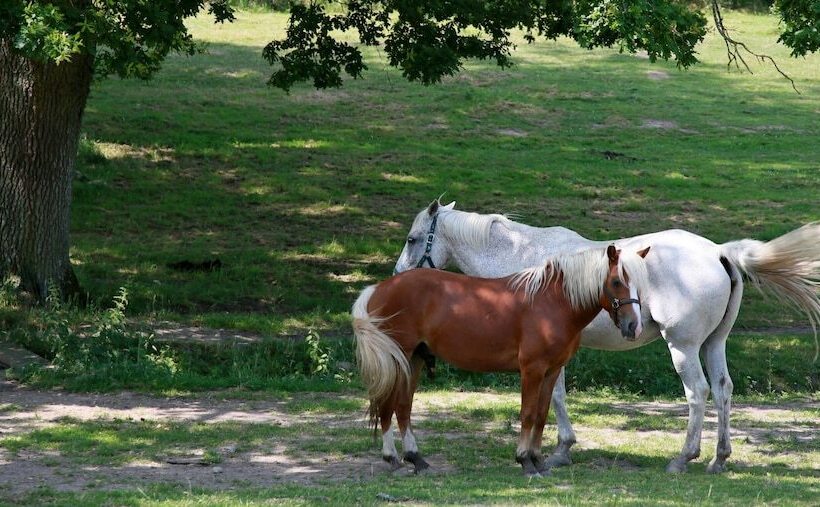 ペンション Domaine Le Muret