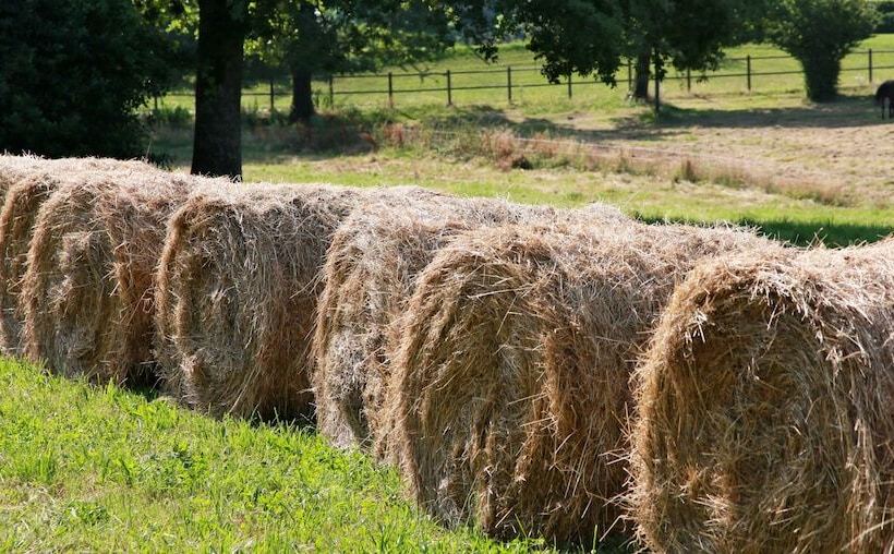 ペンション Domaine Le Muret