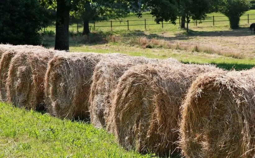 ペンション Domaine Le Muret