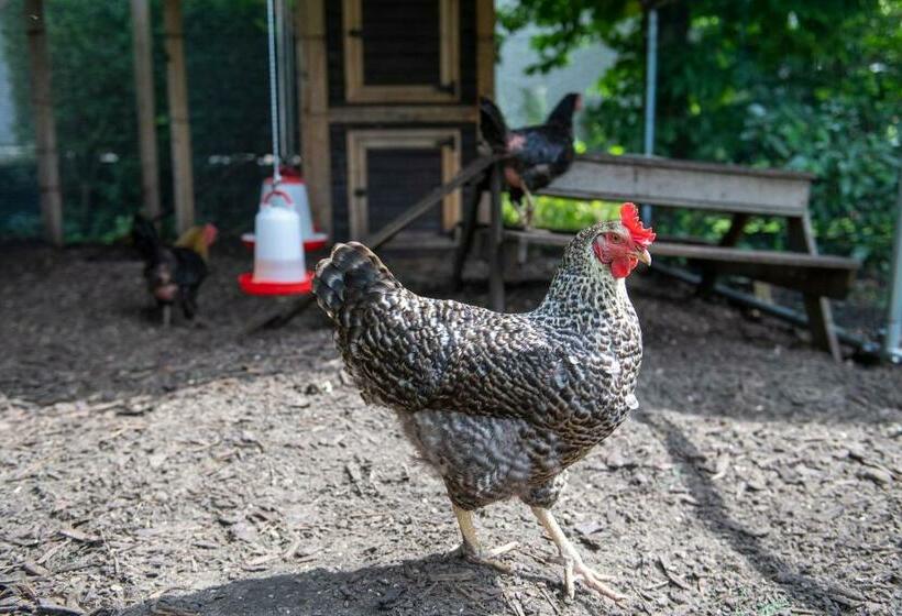 مبيت وإفطار Het Vinkenest Nijverdal