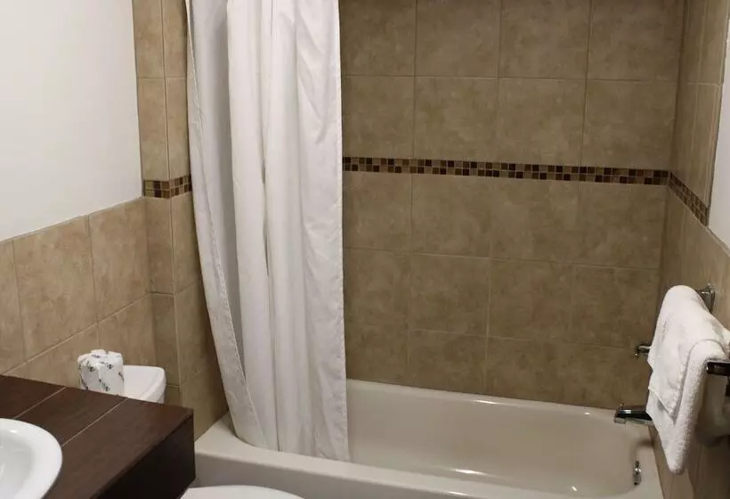 Hotelli Royal Budget Inn