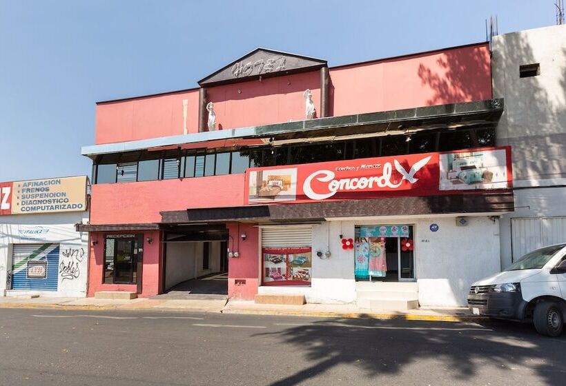 Отель Casa Genesis