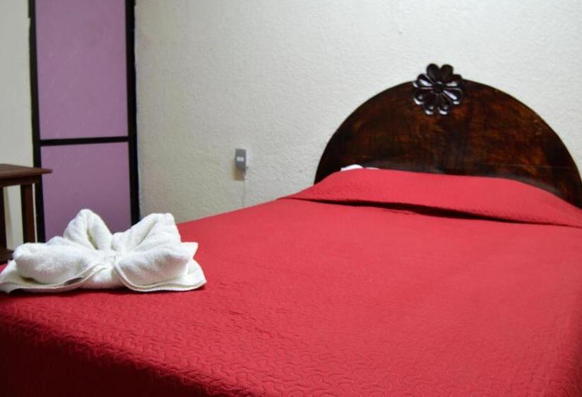 Отель Casa Genesis