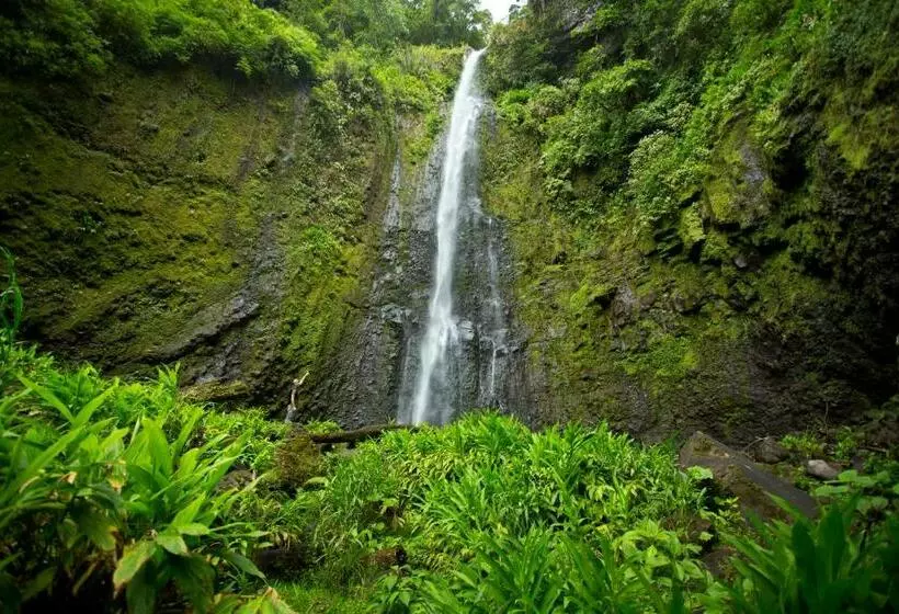 Aamiaismajoitus (B&B) Aquiares Coffee Farm Casa Hacienda La Esperanza