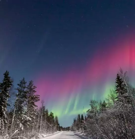 Lomakeskus Old Pine Husky Lodge