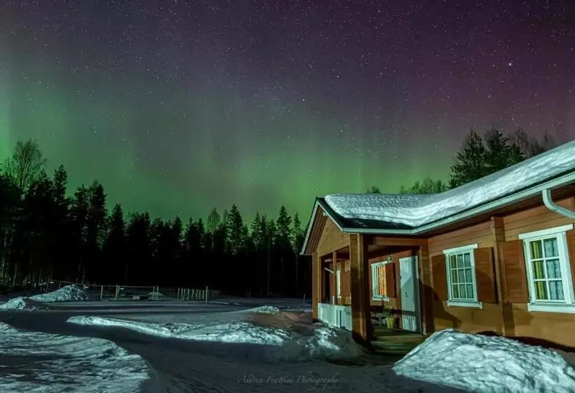 Lomakeskus Old Pine Husky Lodge