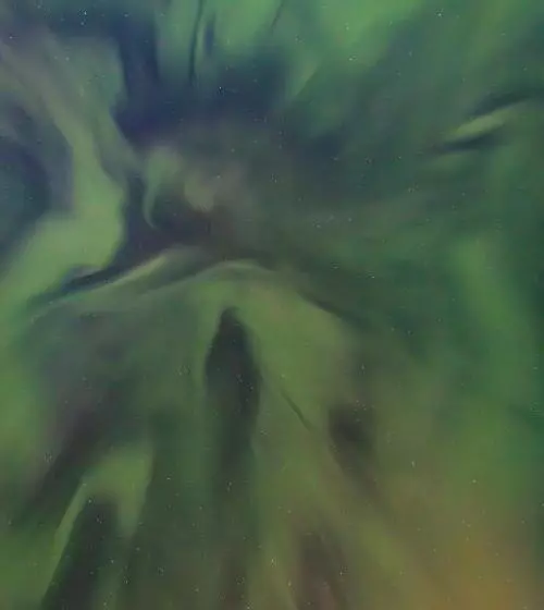 Lomakeskus Old Pine Husky Lodge