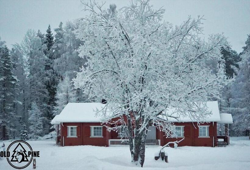 Курорт Old Pine Husky Lodge