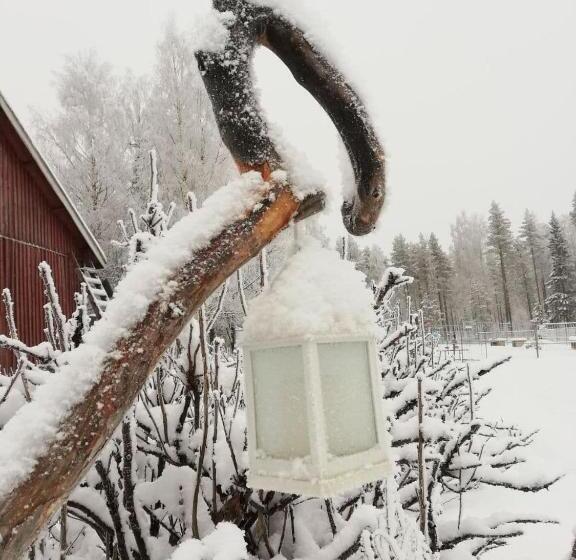 Курорт Old Pine Husky Lodge