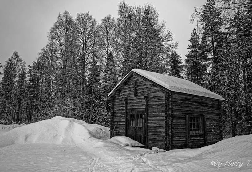 Lomakeskus Old Pine Husky Lodge