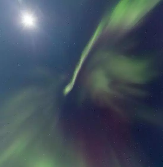 Lomakeskus Old Pine Husky Lodge