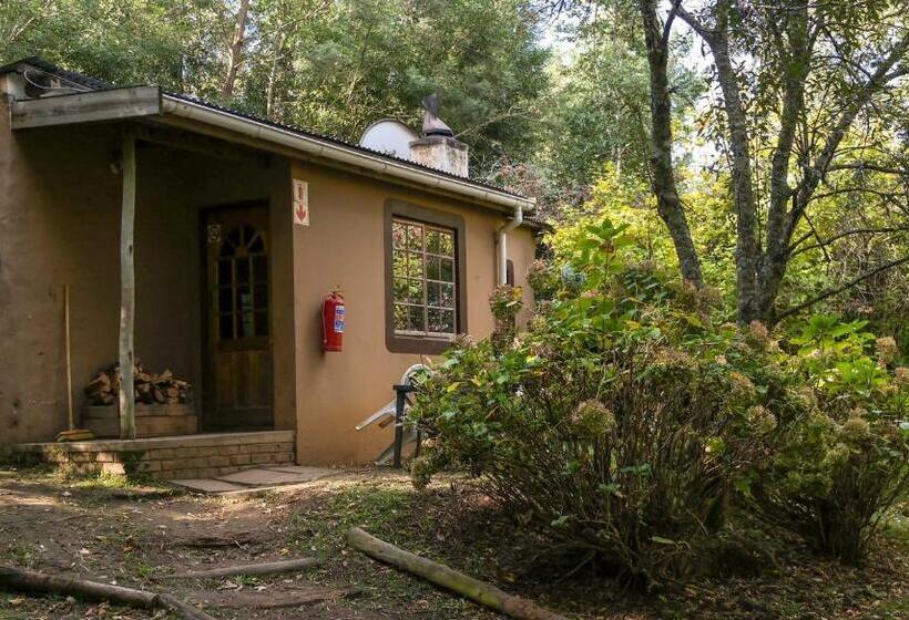 Общежитие Away With The Fairies Nature Lodge And Backpackers