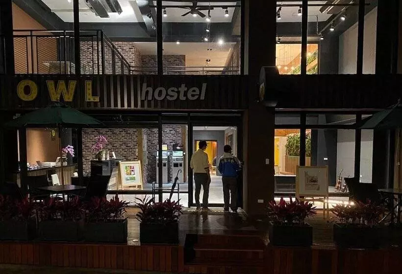 هاستل 貓頭鷹旅店