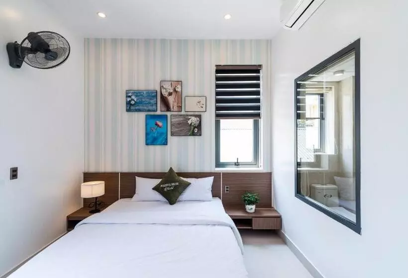 تختخواب و صبحانه Peaceful House Hostel