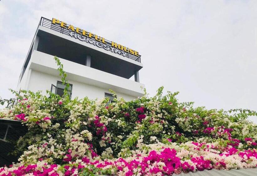 تختخواب و صبحانه Peaceful House Hostel